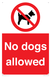 No dogs allowed